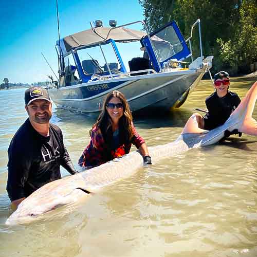 Family in the water holding a Fraser River Sturgeon they caught.