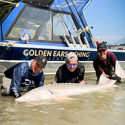 Group of Friends holding a Sturgeon in the Fraser River