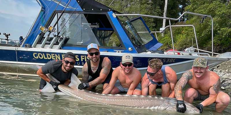 Group of men in the Fraser River holding a Sturgeon