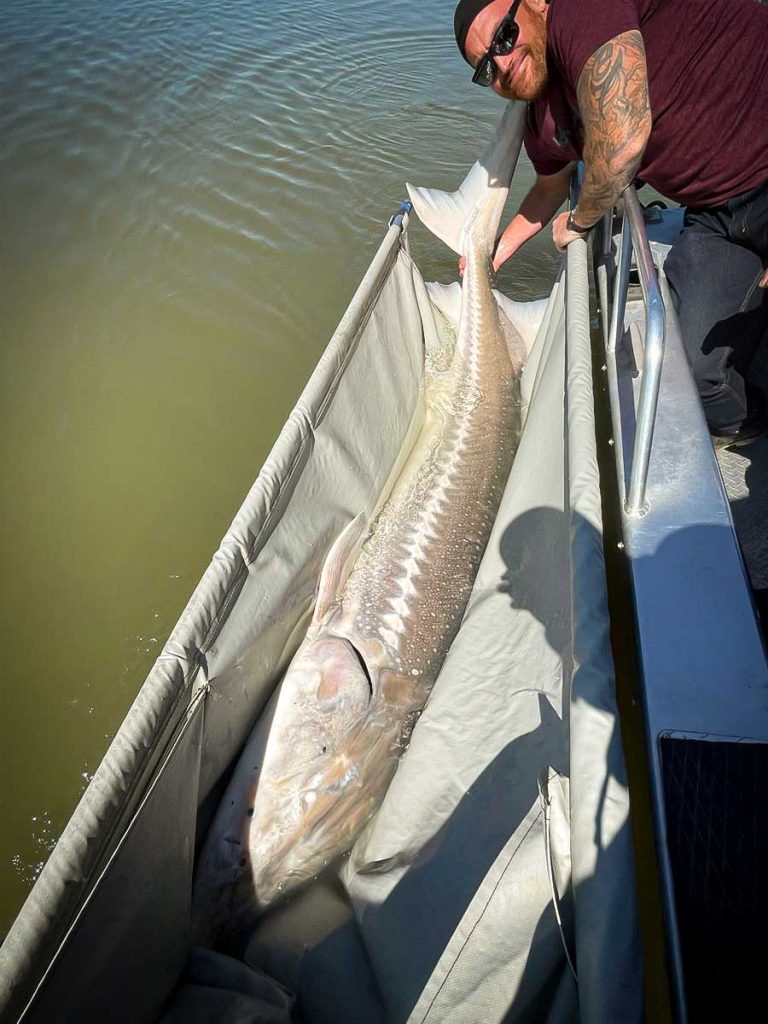 Sturgeon fishing Gallery image