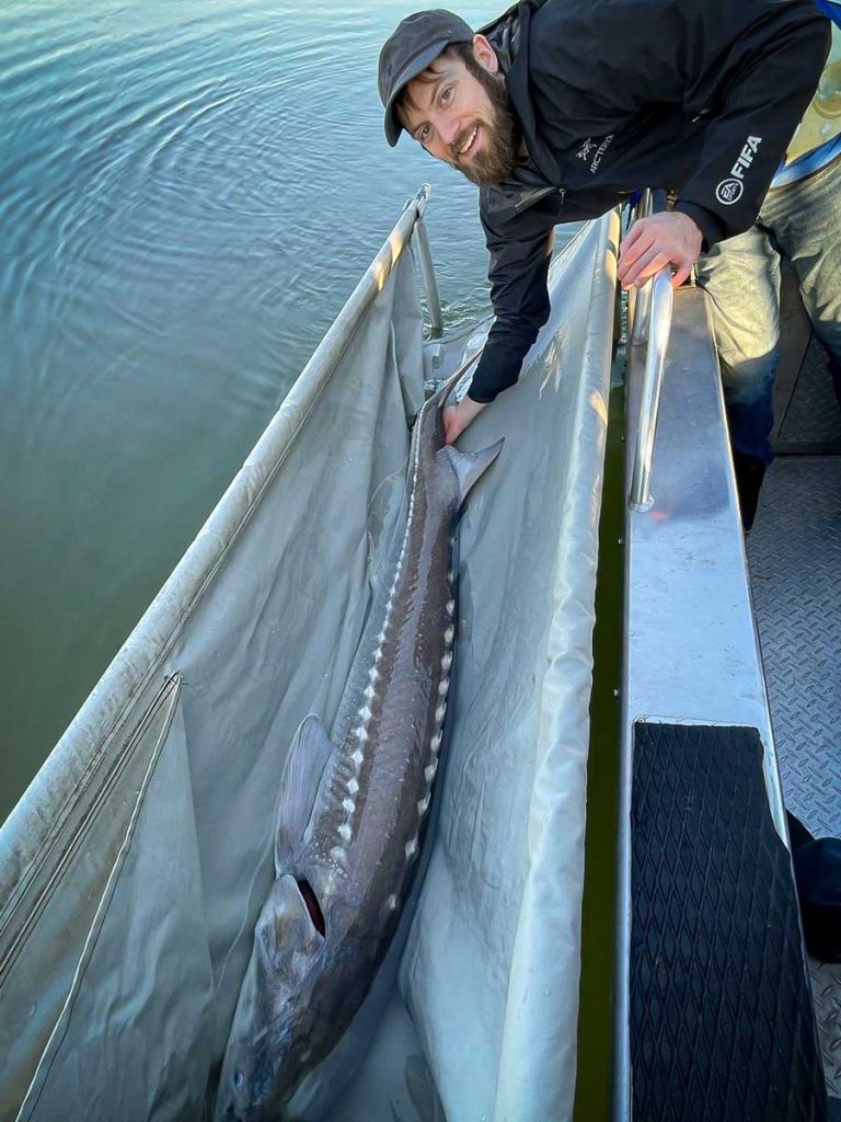 Sturgeon fishing Gallery image