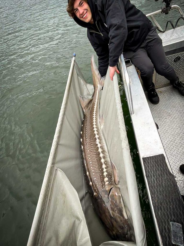 Sturgeon fishing Gallery image