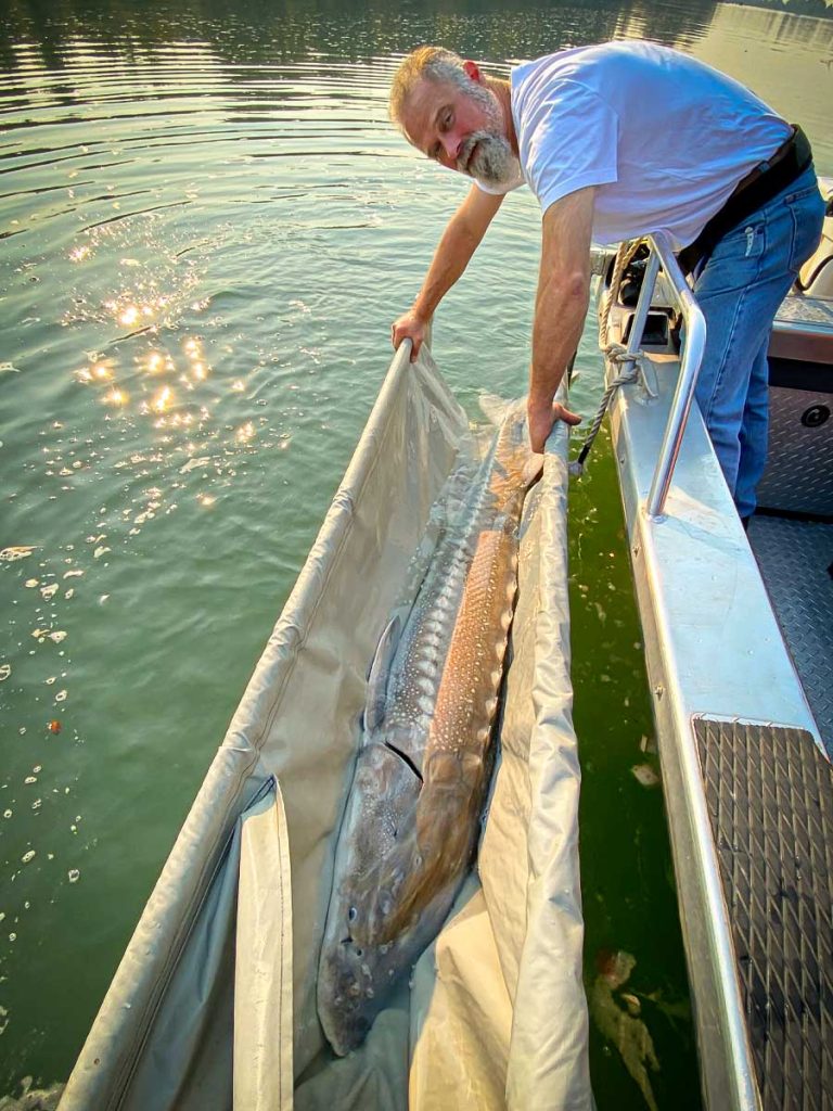 a man holding a fish in a boat