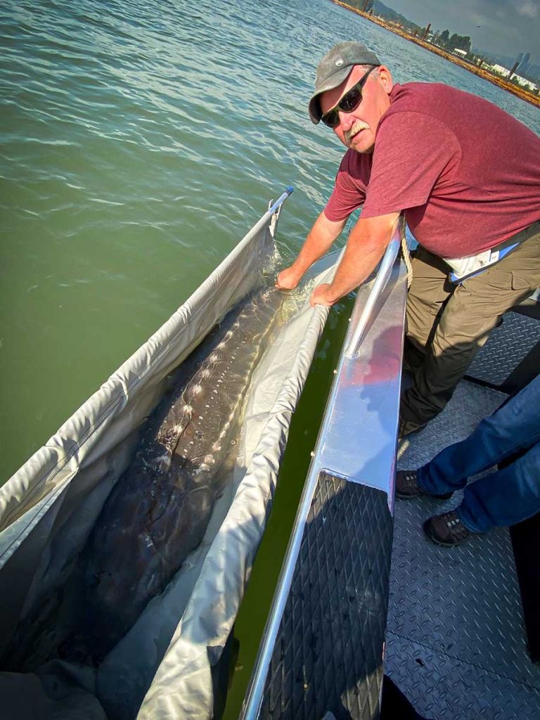 Sturgeon fishing Gallery image