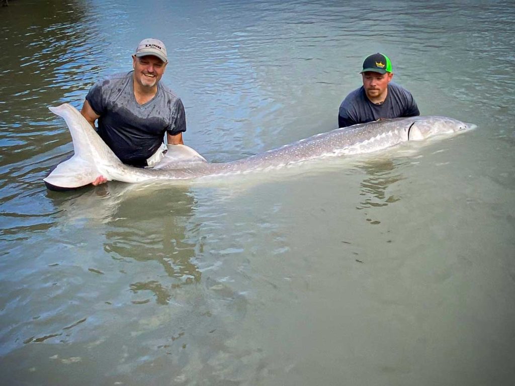 Two men in the water holding a sturgeon they caught