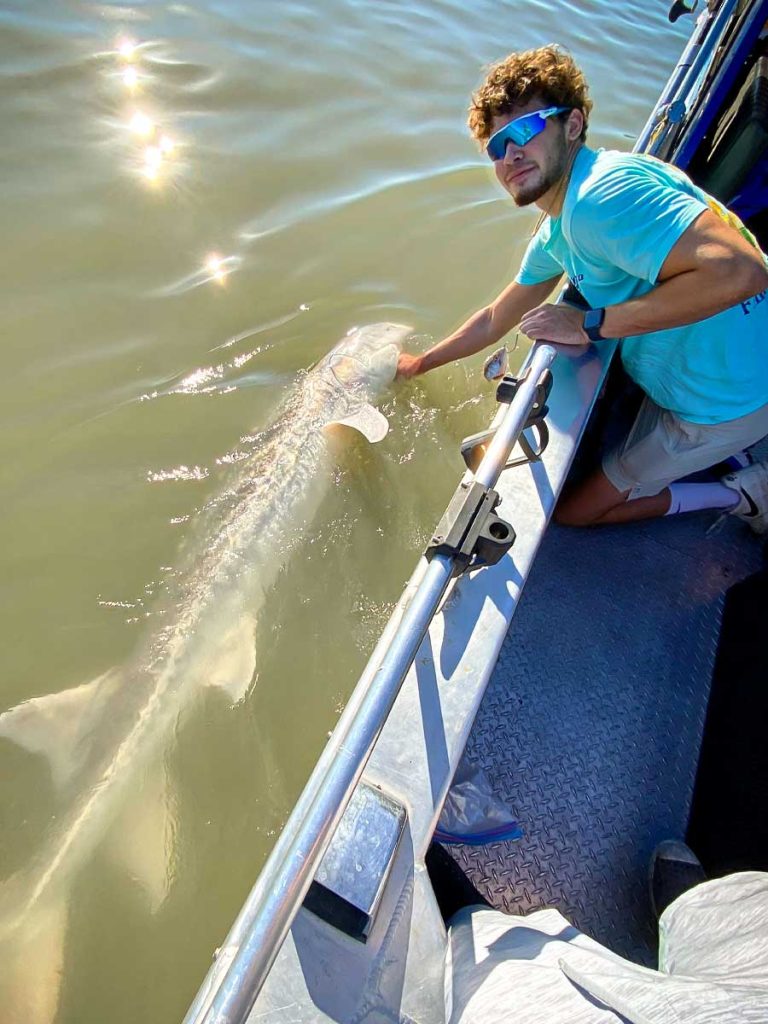 Sturgeon fishing Gallery image