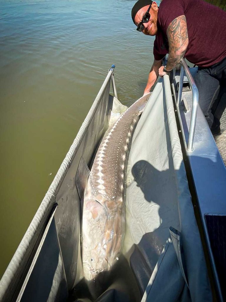 Sturgeon fishing Gallery image