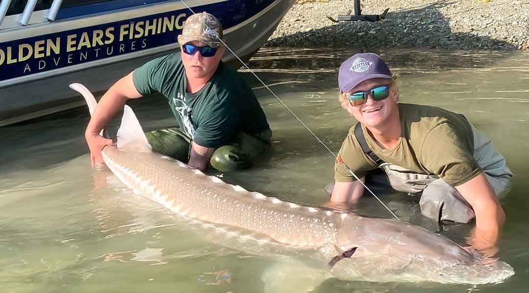 5 Best Sturgeon Catch and Release Tips