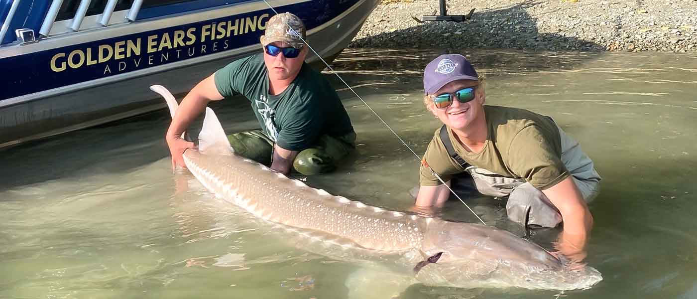 Couple of Men in the water holding a White Sturgeon they caught.