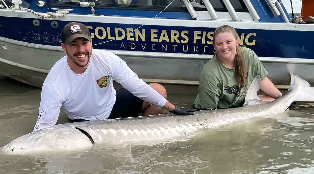 Sturgeon Fishing Technique