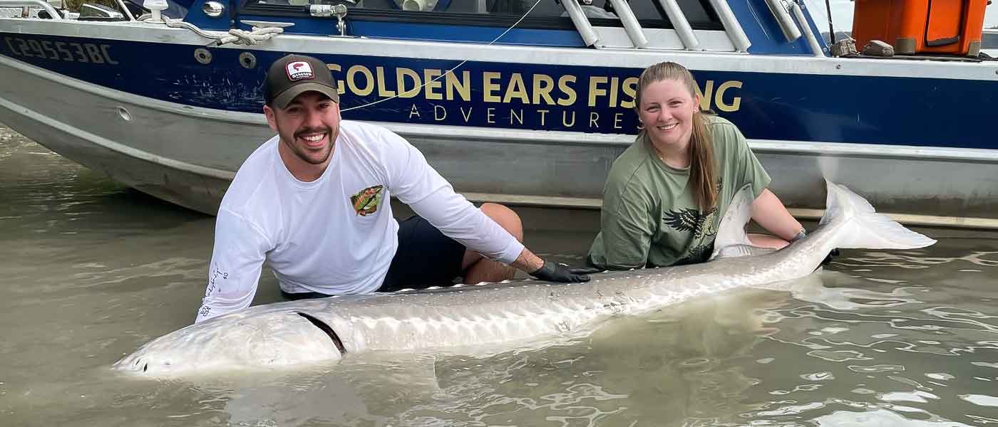 A man and a woman in the water with a sturgeon caught in the Fraser River