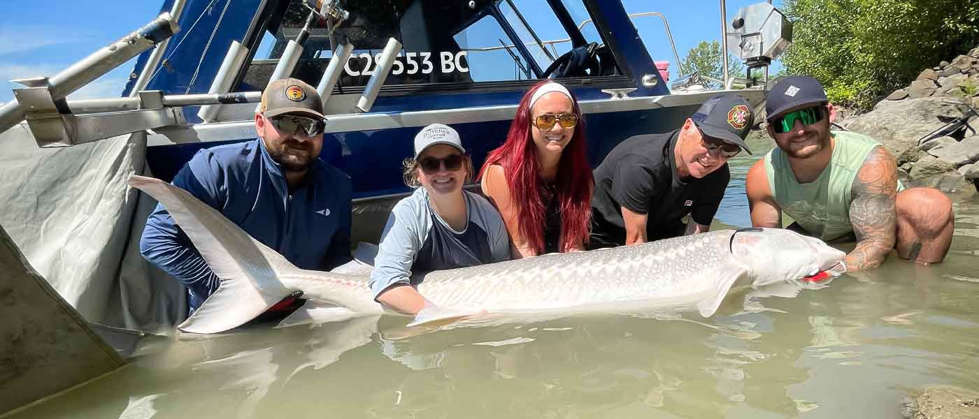 Five people smiling and kneeling in shallow water, holding a large sturgeon fish they caught, with a boat visible in the background on a sunny day. - A Beginner’s Guide to Sturgeon Fishing: 10 Tips for Your First Adventure on the Fraser River