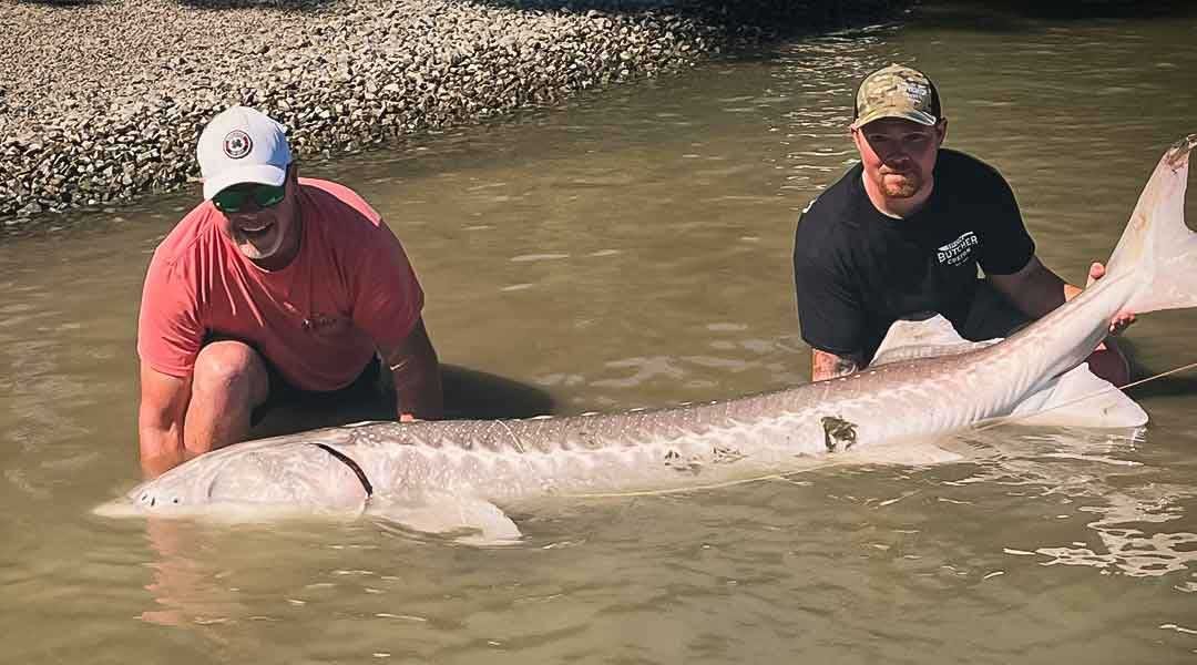 The Sturgeon Season is Not Over!