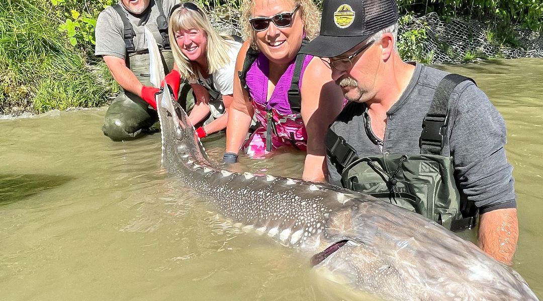 Top 5 Tips for a Successful Sturgeon Fishing Trip with Golden Ears Fishing