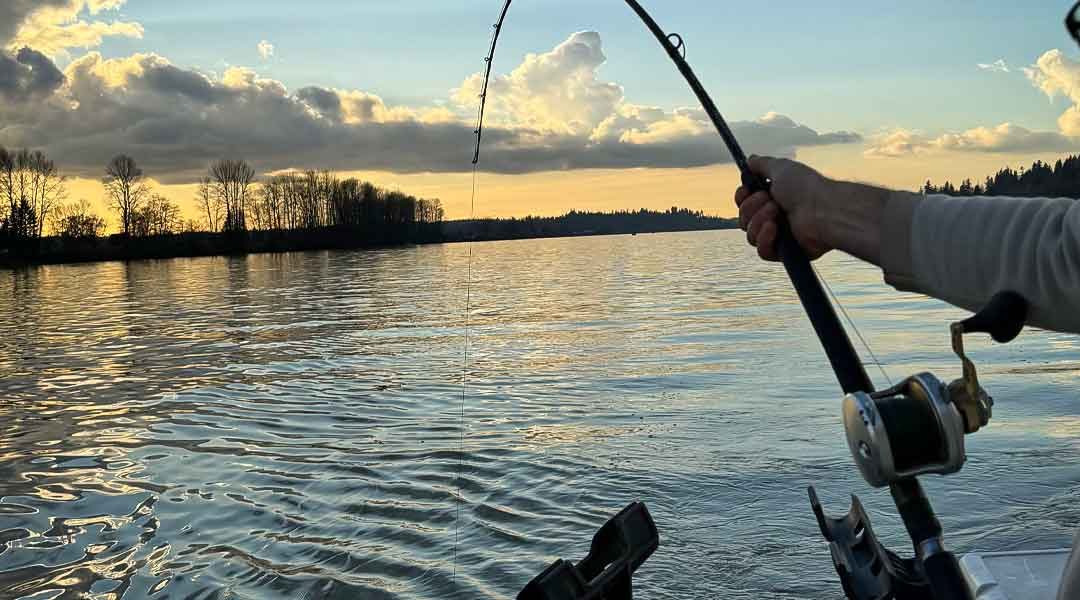 Why Experience Matters: Golden Ears Fishing’s Expertise on the Fraser River