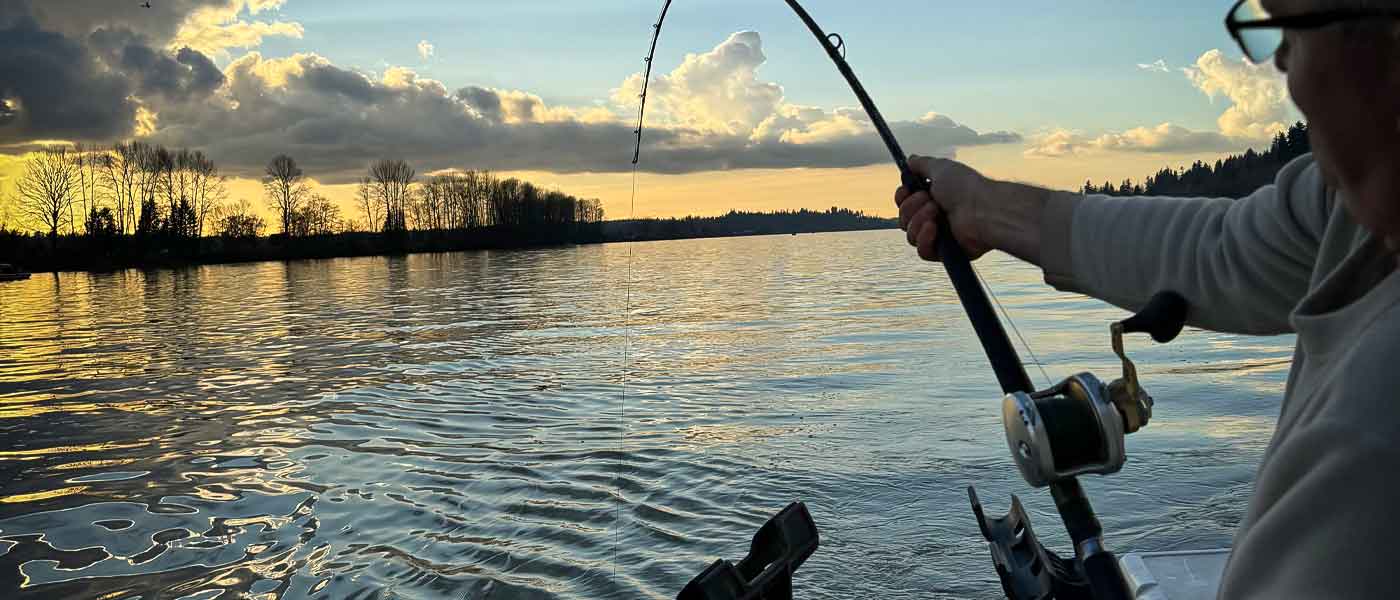 Man attempting to land a Sturgeon on his rod as he fishes the Fraser River