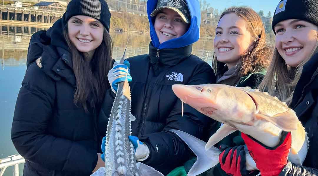 Planning the Perfect Fraser River Sturgeon Fishing Day with Golden Ears Fishing