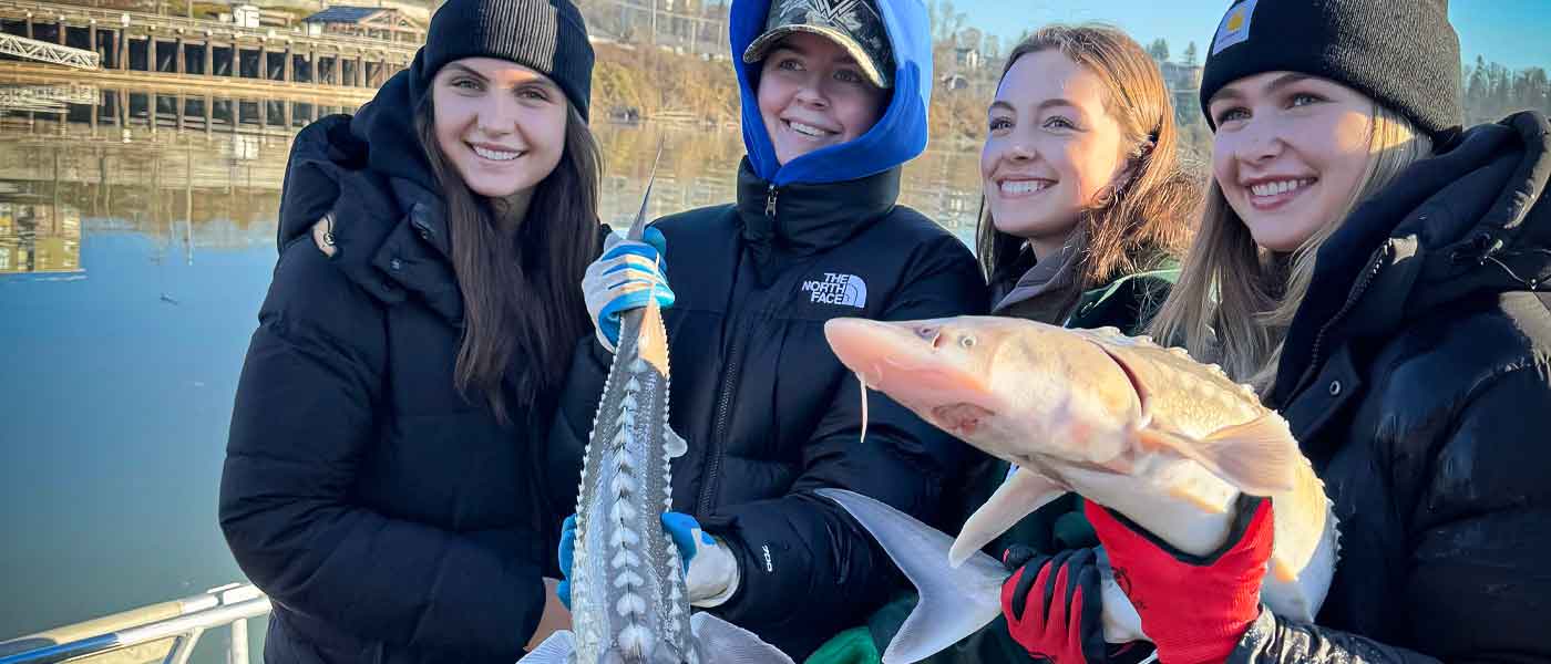 Four young women hold a pair of Sturgeon while out fishing on the Fraser River.