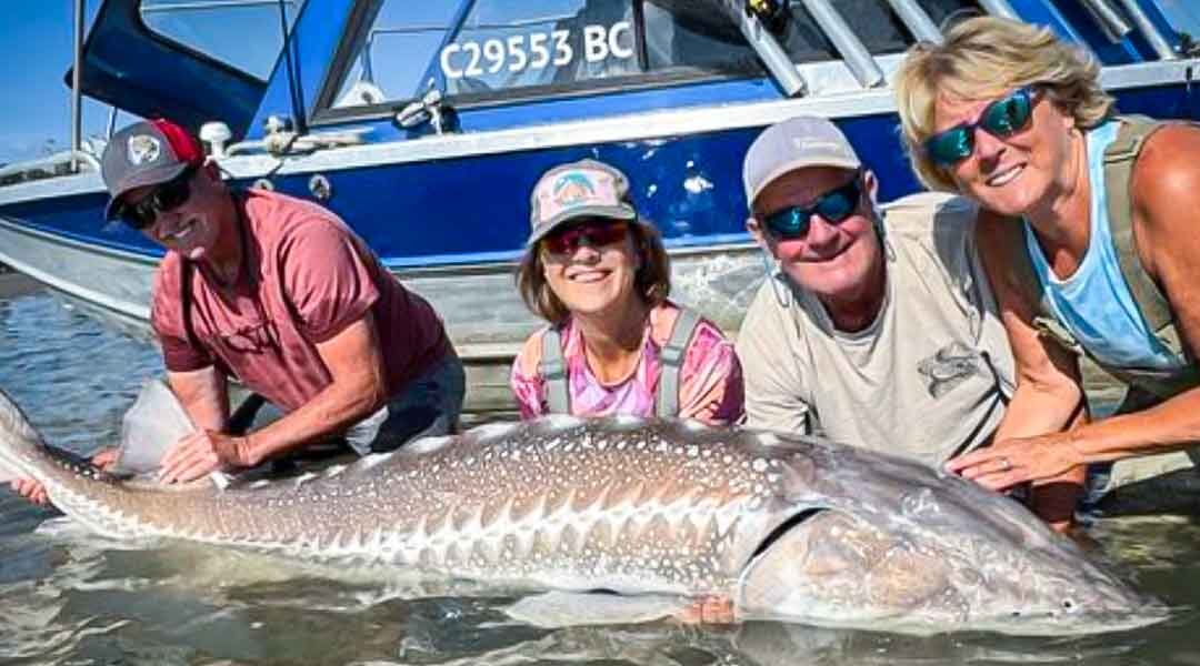 Sturgeon Fishing Special Happening Now