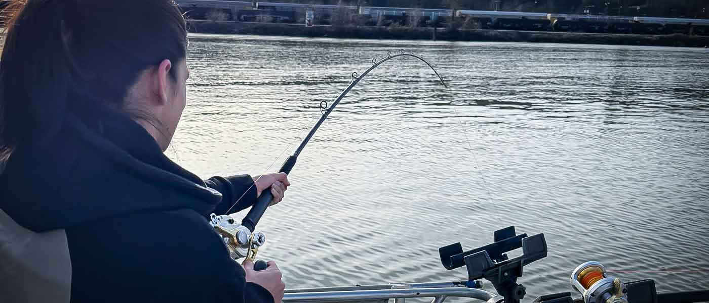 Sturgeon Fishing Promotion Woman sturgeon fishing has a fish hooked on the line while on the Fraser River